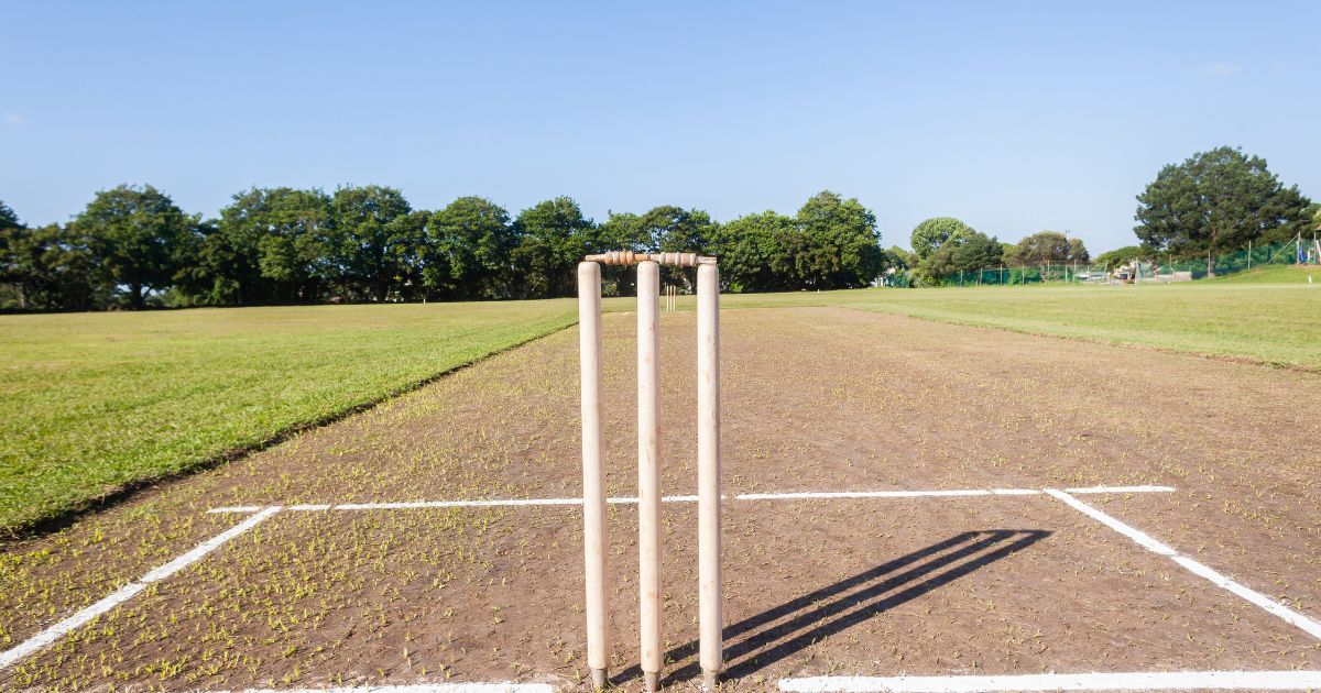 cricket pitch impact