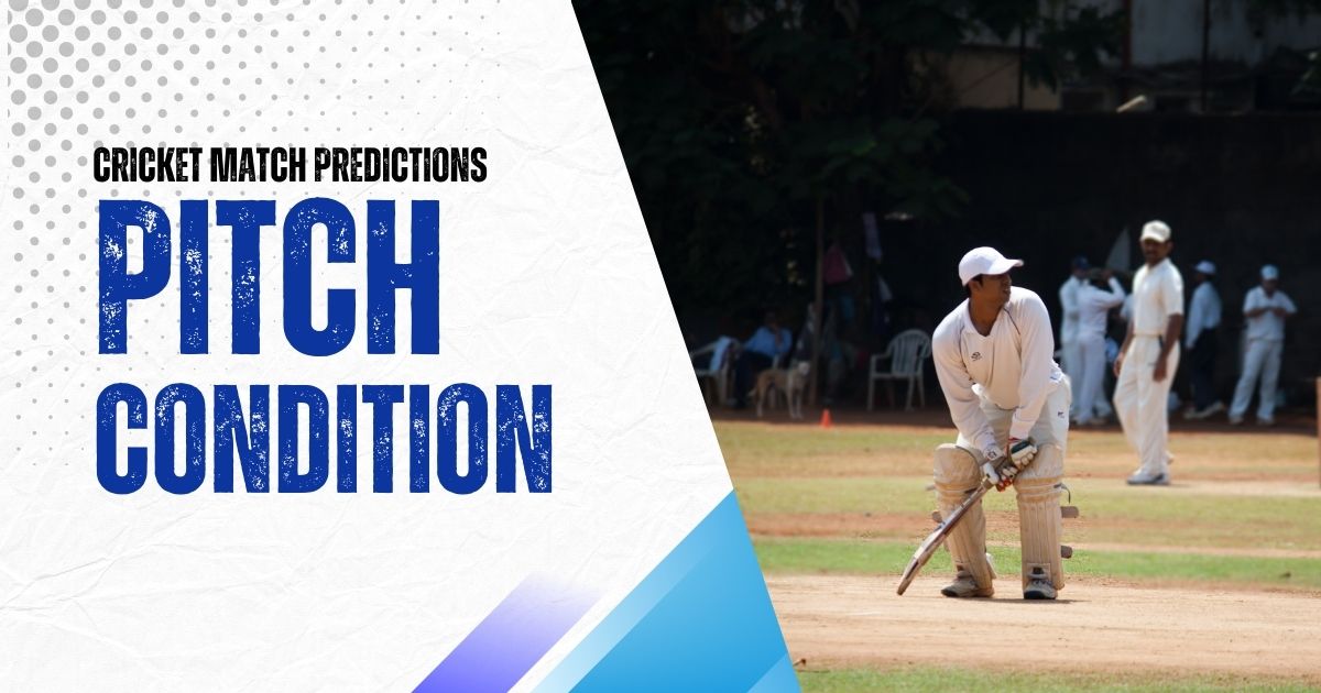 cricket prediction pitch