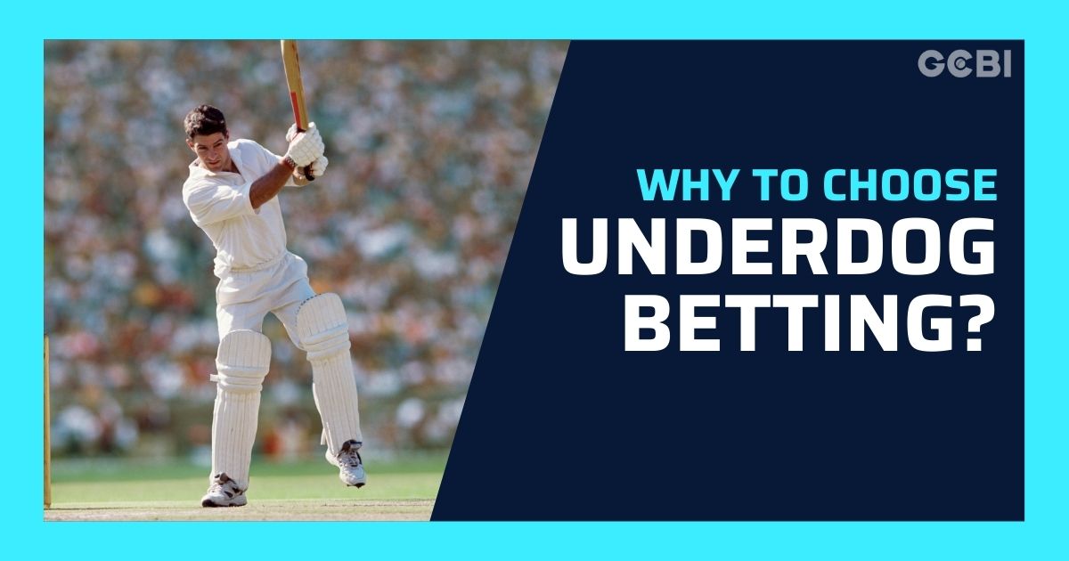 cricket underdog betting why